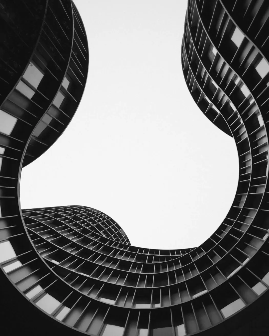 Looking Up: The Architectural Photographers Who Find Beauty In Curves